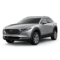 Payment for Invoice 44092 , Booking 44091, Name: Mazda CX-30, Period: from September 17, 2025 to September 17, 2025